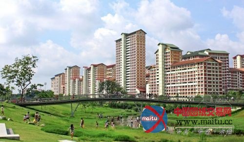 新加坡生态公园 混凝土水渠改建成“自然河道”