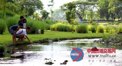 新加坡生态公园 混凝土水渠改建成“自然河道”