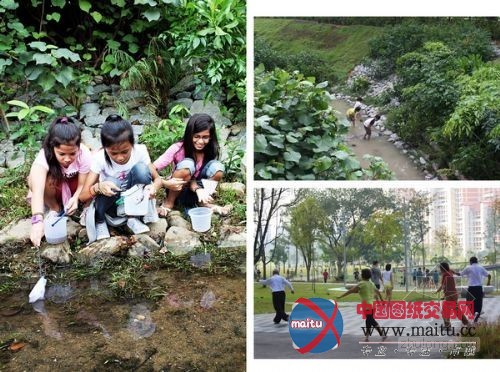 新加坡生态公园 混凝土水渠改建成“自然河道”