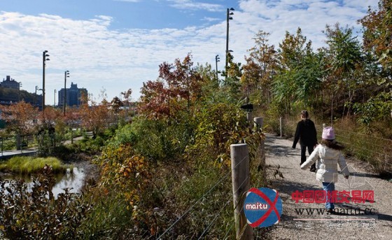 纽约雄伟简单的布鲁克林大桥公园