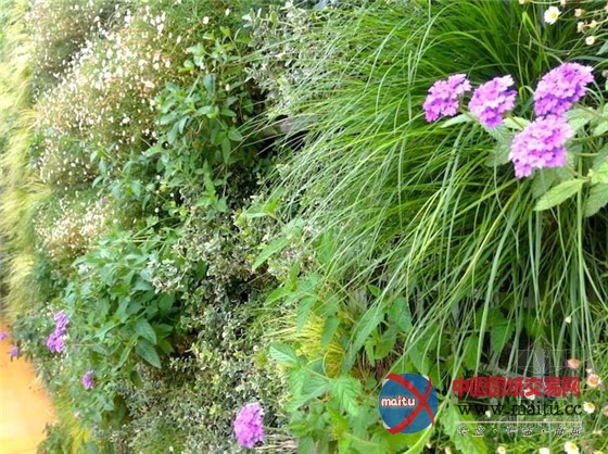 西班牙蕾娜索菲亚博物馆华丽景观墙