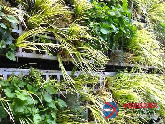 西班牙蕾娜索菲亚博物馆华丽景观墙