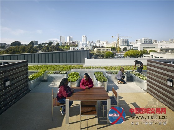 美国加利福尼亚理查森公寓景观花园