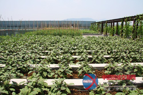 南京紫东国际创意园区 绽放在屋顶的花园