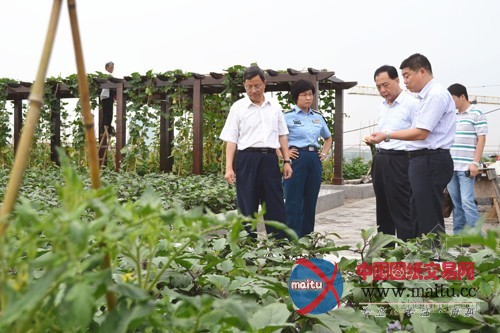 南京紫东国际创意园区 绽放在屋顶的花园