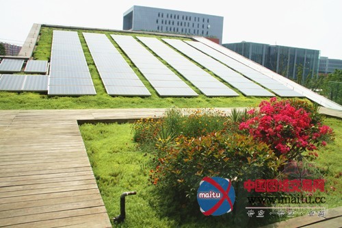 南京紫东国际创意园区 绽放在屋顶的花园