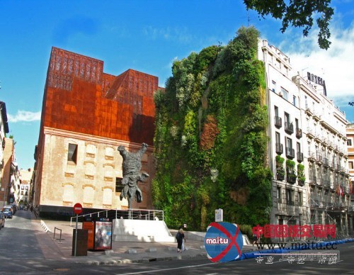 垂直绿化大师伯兰克出席世界屋顶绿化大会