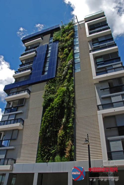 垂直绿化大师伯兰克出席世界屋顶绿化大会