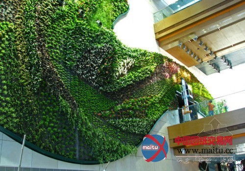 垂直绿化大师伯兰克出席世界屋顶绿化大会