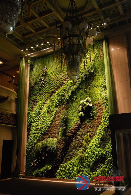 垂直绿化大师伯兰克出席世界屋顶绿化大会