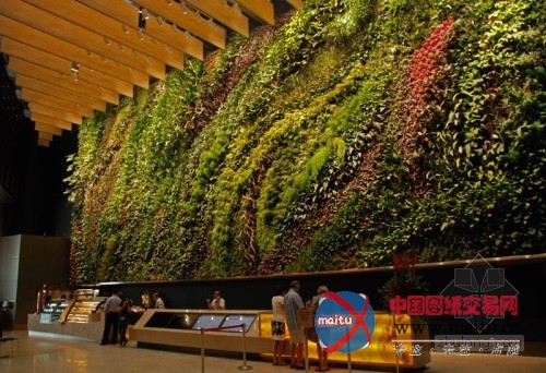 垂直绿化大师伯兰克出席世界屋顶绿化大会