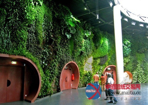 垂直绿化大师伯兰克出席世界屋顶绿化大会