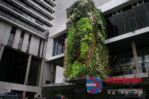 垂直绿化大师伯兰克出席世界屋顶绿化大会