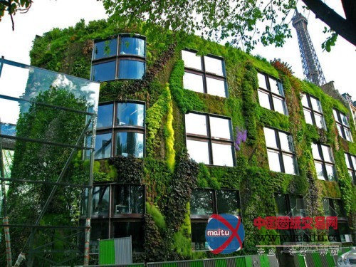 垂直绿化大师伯兰克出席世界屋顶绿化大会