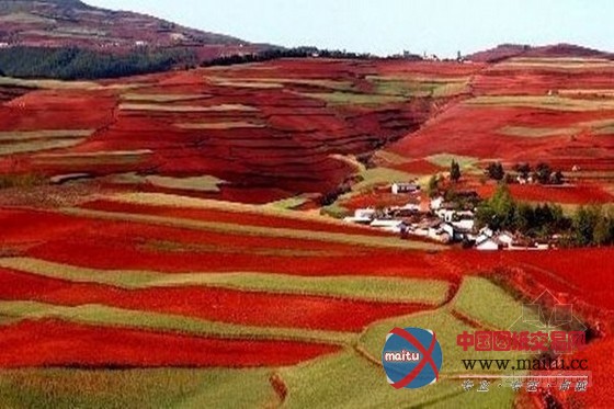 中国最易破产十大城市 此城房子不能买