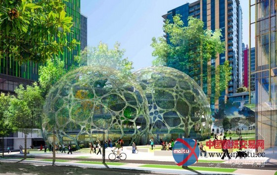 NBBJ设计的西雅图生物圈温室计划