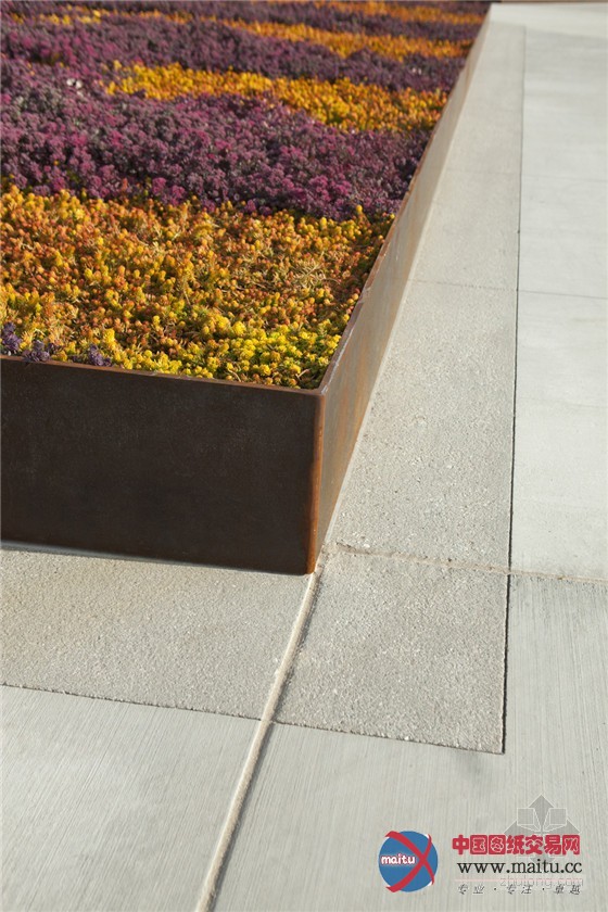 美国加州太平洋眺望台景观规划