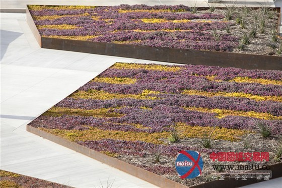 美国加州太平洋眺望台景观规划