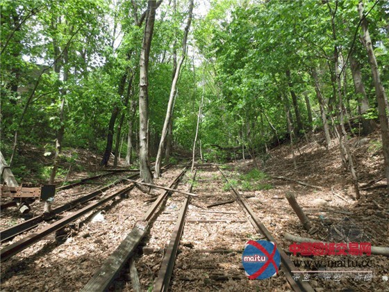 美国皇后大道上的绿色动脉“高架铁轨公园”