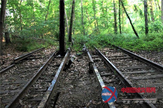 美国皇后大道上的绿色动脉“高架铁轨公园”