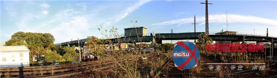 美国皇后大道上的绿色动脉“高架铁轨公园”