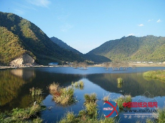 神农架大九湖生态移民民居及水体景观规划方案通过专家评审