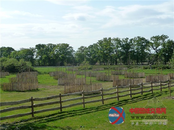 法国圣雅克生态公园