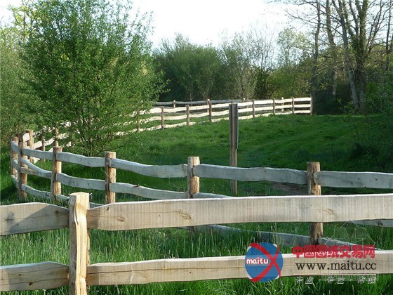 法国圣雅克生态公园