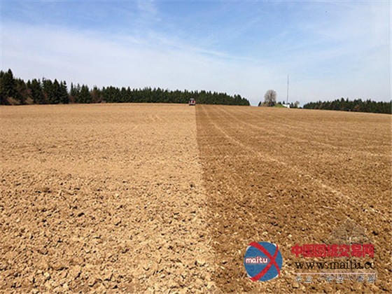 德国麦田艺术与景观