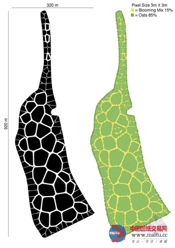 德国麦田艺术与景观