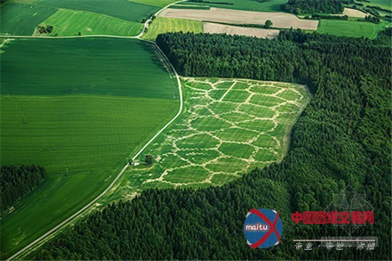 德国麦田艺术与景观