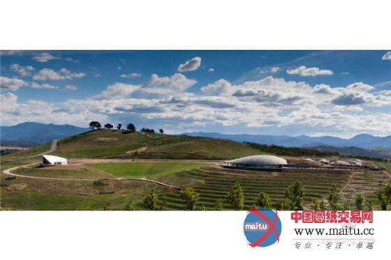 澳大利亚堪培拉:珍稀濒危物种植物园