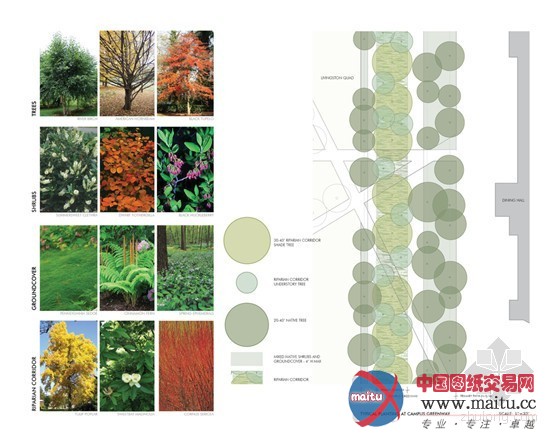 澳大利亚堪培拉:珍稀濒危物种植物园