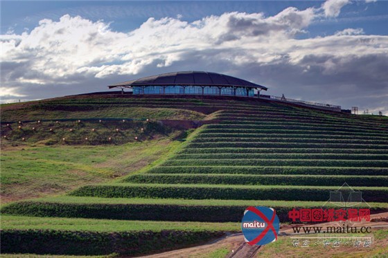 澳大利亚堪培拉:珍稀濒危物种植物园