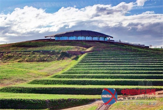 澳大利亚堪培拉:珍稀濒危物种植物园