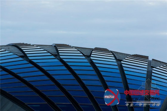 澳大利亚堪培拉:珍稀濒危物种植物园