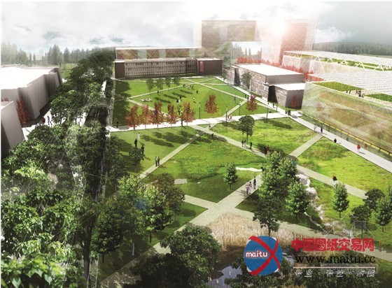 澳大利亚堪培拉:珍稀濒危物种植物园