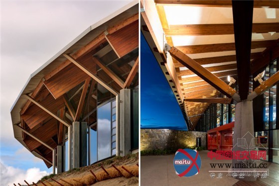 澳大利亚堪培拉:珍稀濒危物种植物园