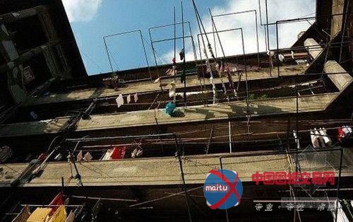 只见“猪笼城寨”不见包租婆