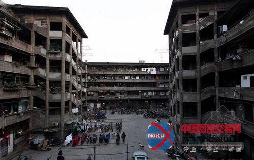 只见“猪笼城寨”不见包租婆