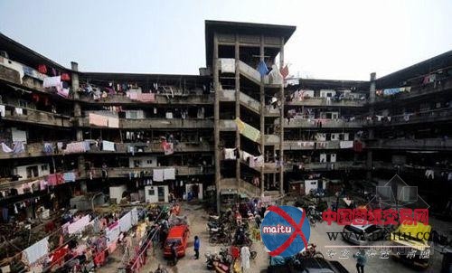 只见“猪笼城寨”不见包租婆