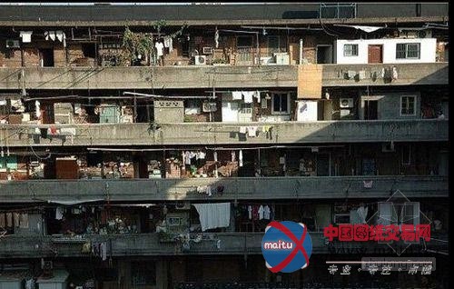 只见“猪笼城寨”不见包租婆