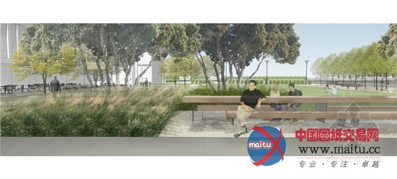 美国旧金山绿色加州大学教学楼景观