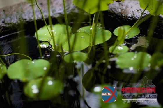 杭州湖边邨酒店设计 体验上世纪末洋场风情