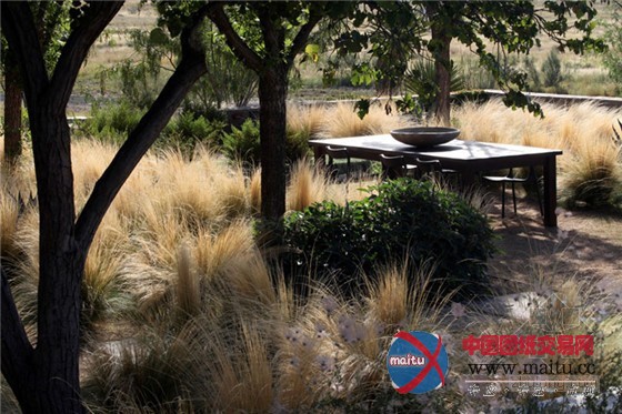 与西德克萨斯州恶略气候抗衡的平原牧场