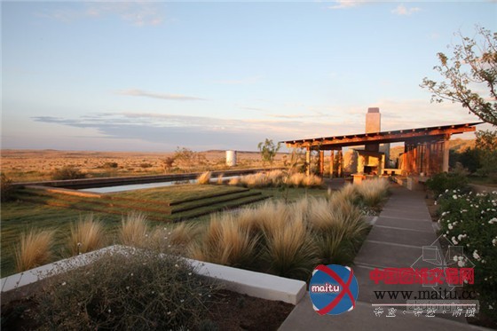 与西德克萨斯州恶略气候抗衡的平原牧场