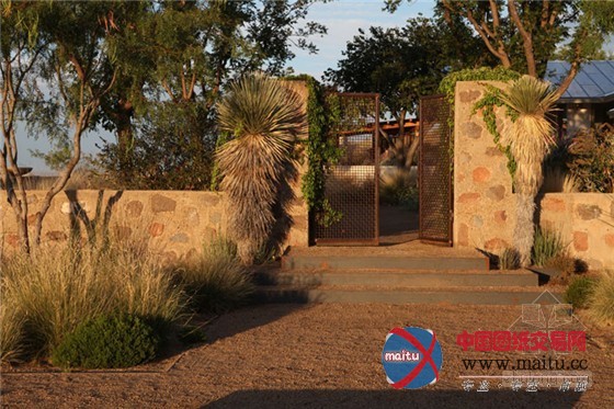 与西德克萨斯州恶略气候抗衡的平原牧场