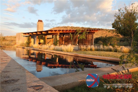 与西德克萨斯州恶略气候抗衡的平原牧场