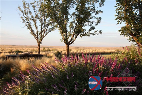 与西德克萨斯州恶略气候抗衡的平原牧场