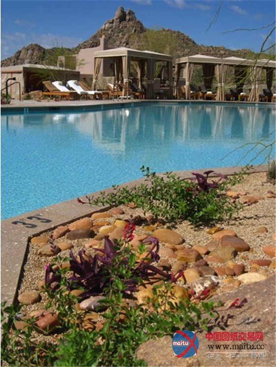 斯科茨代尔四季酒店的泳池花园